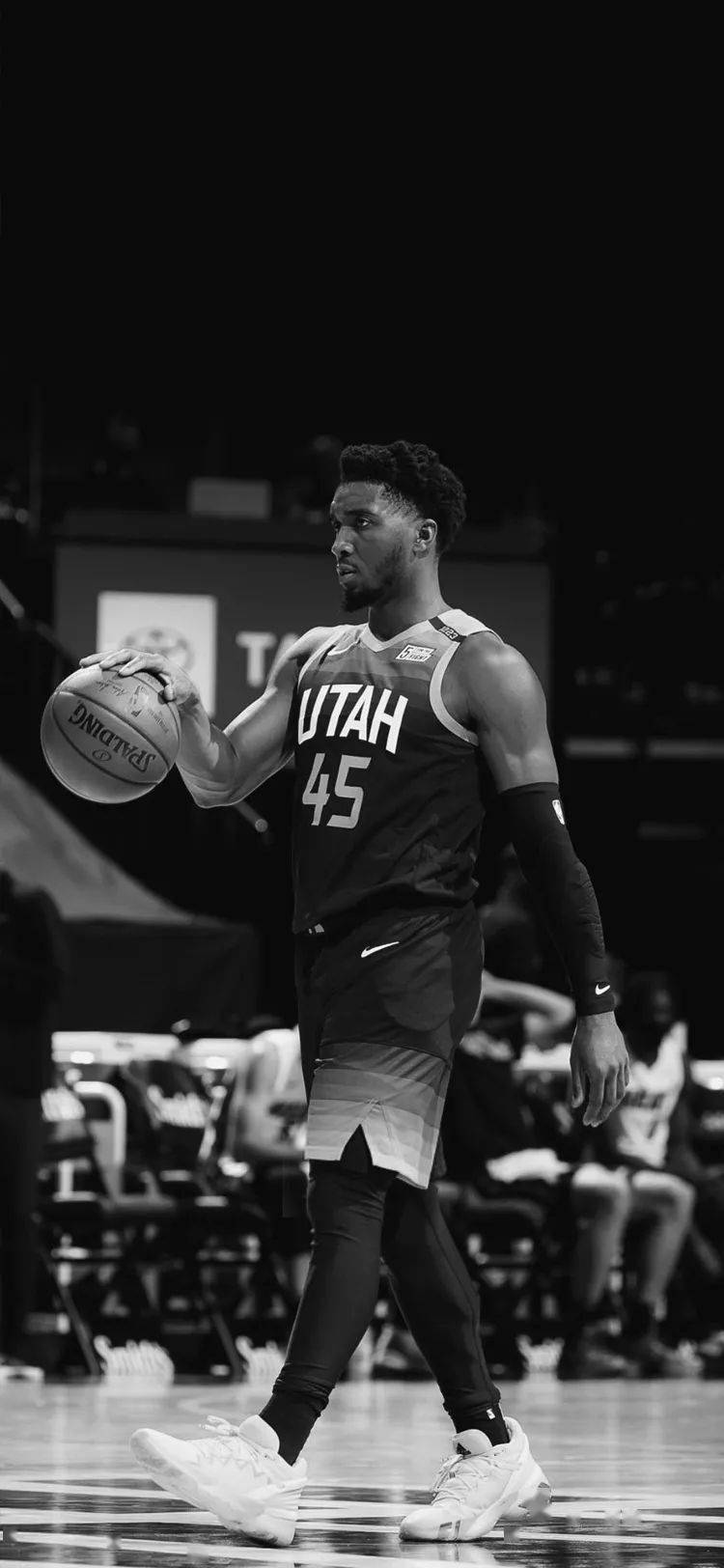 迪文琴佐可 迪文琴佐可