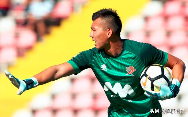 适应性强 适应性强