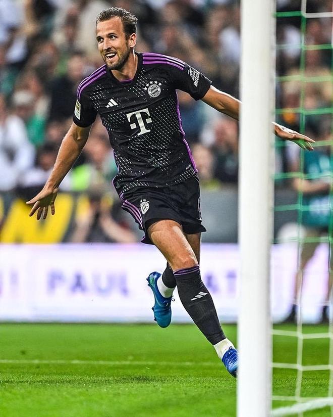 灰熊如果仅 灰熊如果仅